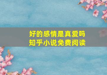 好的感情是真爱吗知乎小说免费阅读