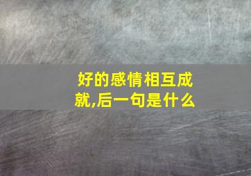 好的感情相互成就,后一句是什么