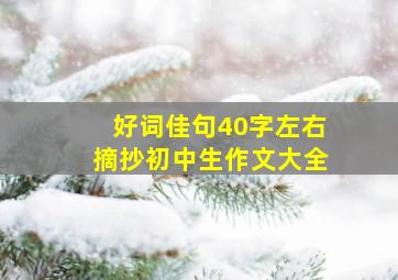 好词佳句40字左右摘抄初中生作文大全