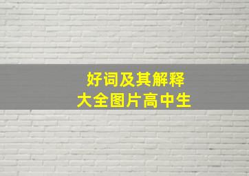 好词及其解释大全图片高中生