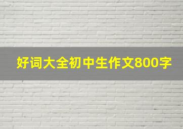 好词大全初中生作文800字