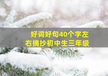 好词好句40个字左右摘抄初中生三年级