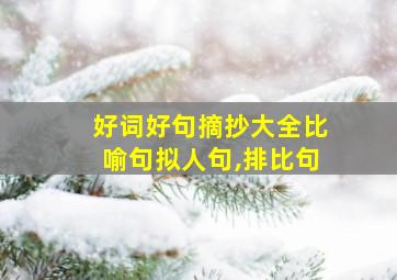 好词好句摘抄大全比喻句拟人句,排比句