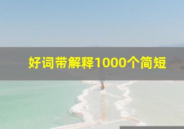 好词带解释1000个简短