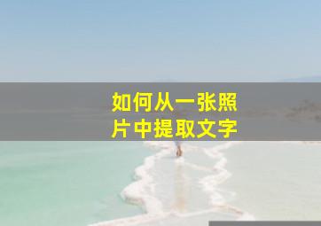 如何从一张照片中提取文字