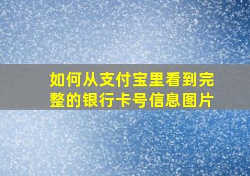 如何从支付宝里看到完整的银行卡号信息图片