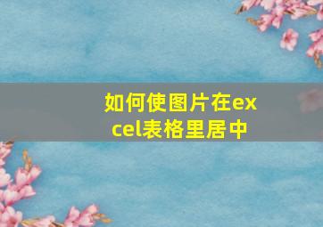 如何使图片在excel表格里居中