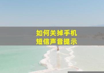 如何关掉手机短信声音提示