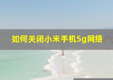 如何关闭小米手机5g网络