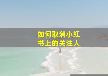 如何取消小红书上的关注人