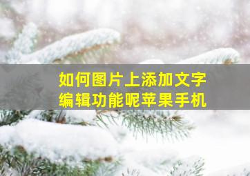 如何图片上添加文字编辑功能呢苹果手机