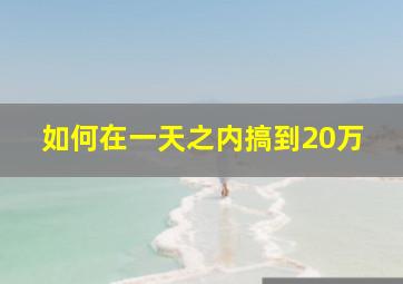 如何在一天之内搞到20万