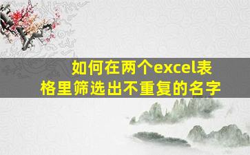 如何在两个excel表格里筛选出不重复的名字