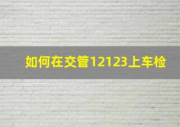 如何在交管12123上车检