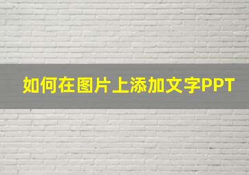 如何在图片上添加文字PPT