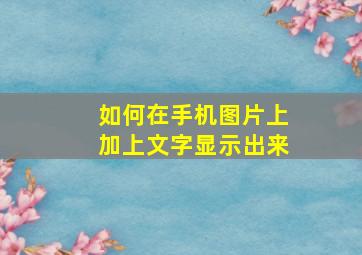 如何在手机图片上加上文字显示出来