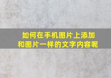 如何在手机图片上添加和图片一样的文字内容呢