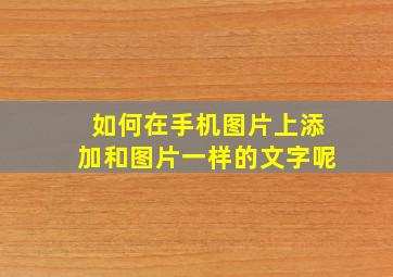 如何在手机图片上添加和图片一样的文字呢