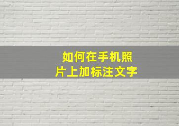 如何在手机照片上加标注文字