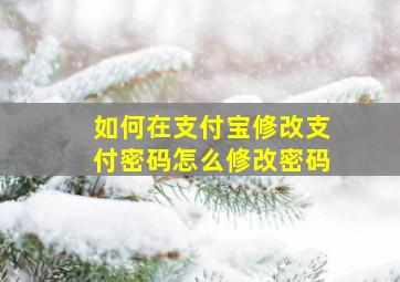 如何在支付宝修改支付密码怎么修改密码