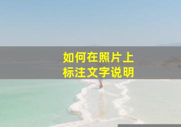 如何在照片上标注文字说明