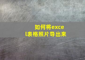 如何将excel表格照片导出来