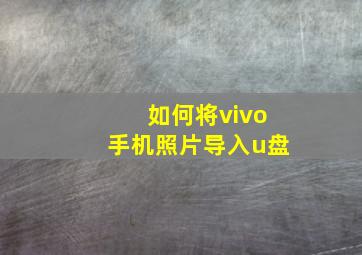 如何将vivo手机照片导入u盘