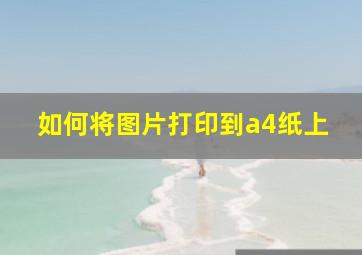 如何将图片打印到a4纸上