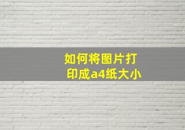 如何将图片打印成a4纸大小