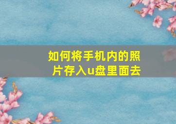 如何将手机内的照片存入u盘里面去