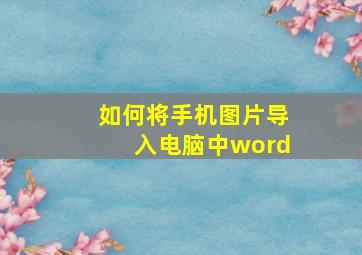 如何将手机图片导入电脑中word