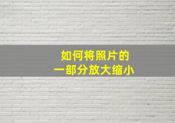 如何将照片的一部分放大缩小