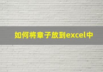 如何将章子放到excel中