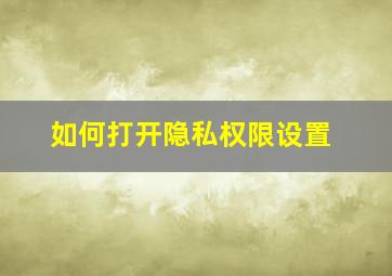 如何打开隐私权限设置