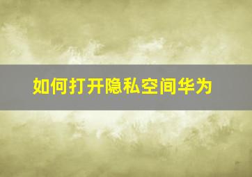 如何打开隐私空间华为