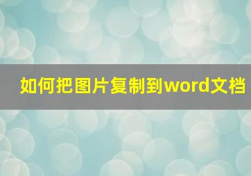 如何把图片复制到word文档