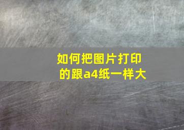 如何把图片打印的跟a4纸一样大