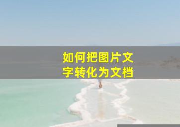 如何把图片文字转化为文档