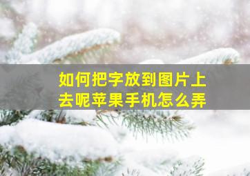 如何把字放到图片上去呢苹果手机怎么弄