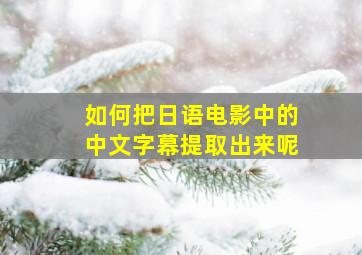 如何把日语电影中的中文字幕提取出来呢