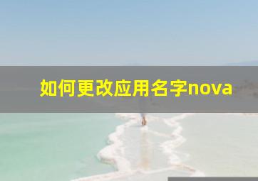 如何更改应用名字nova