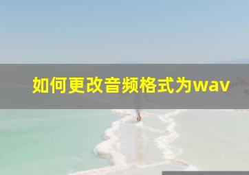 如何更改音频格式为wav