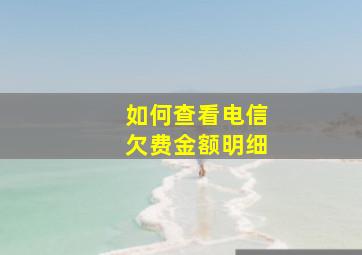 如何查看电信欠费金额明细