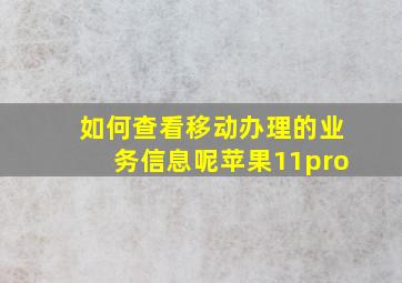 如何查看移动办理的业务信息呢苹果11pro