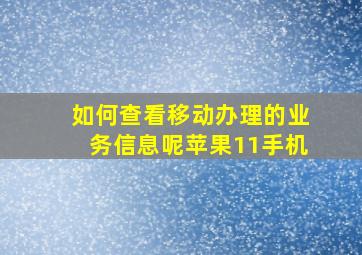 如何查看移动办理的业务信息呢苹果11手机