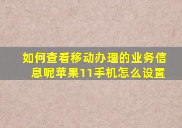 如何查看移动办理的业务信息呢苹果11手机怎么设置