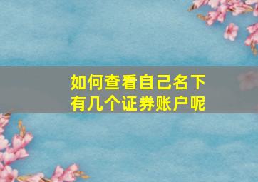 如何查看自己名下有几个证券账户呢