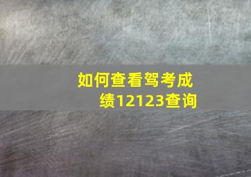 如何查看驾考成绩12123查询