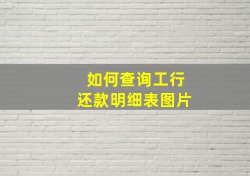 如何查询工行还款明细表图片