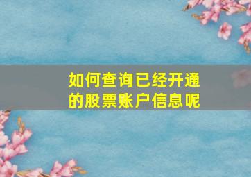 如何查询已经开通的股票账户信息呢